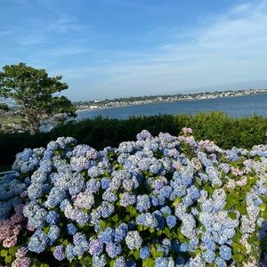 Meet your Posher, Gabby